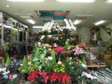 「小林生花店」　（神奈川県小田原市）の花屋店舗写真1